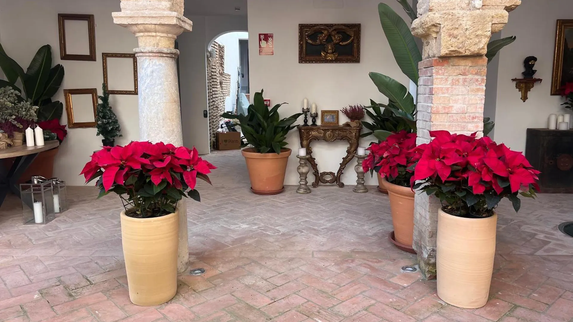 Corazon 23 Apartman Córdoba
