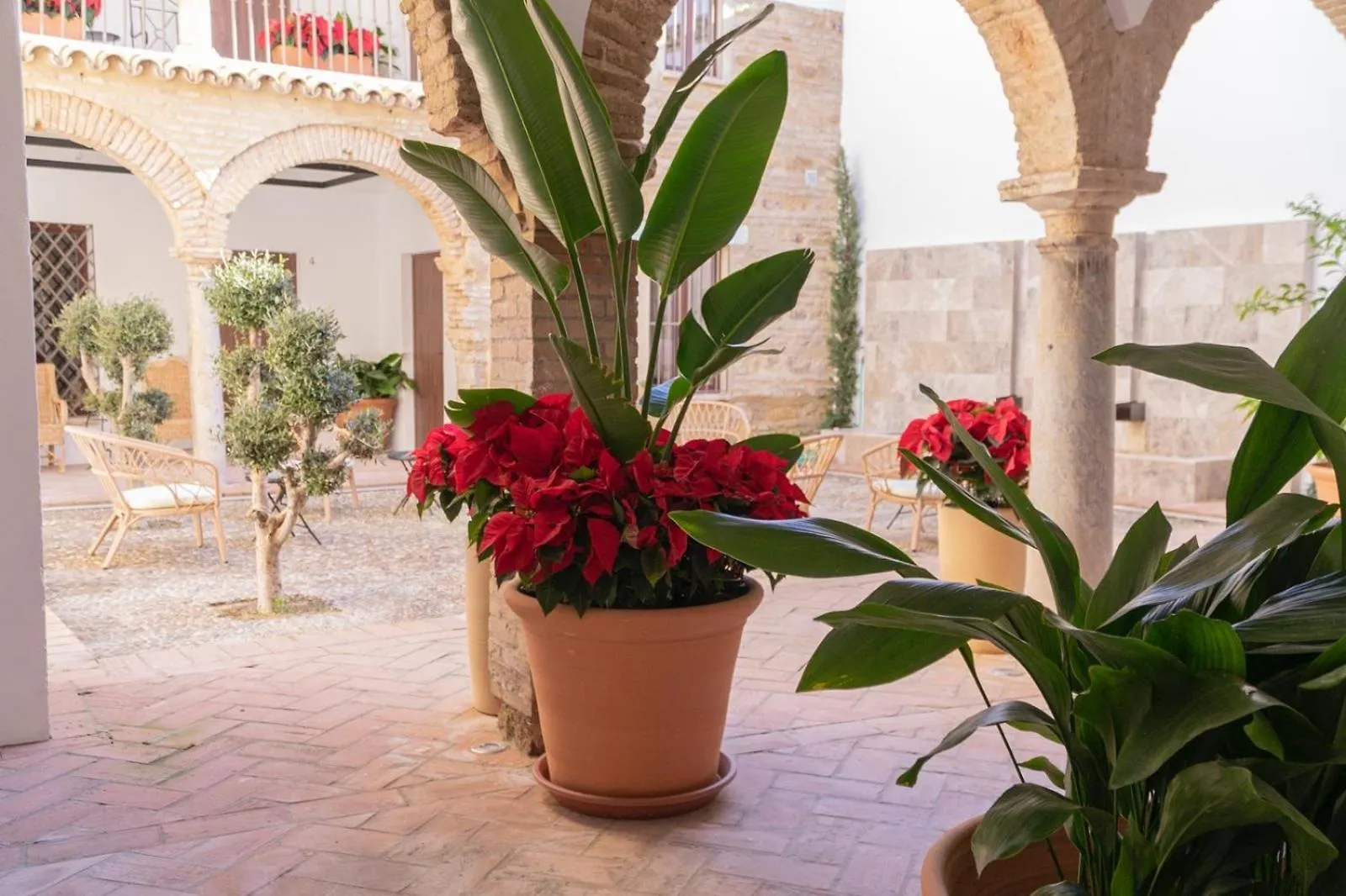 Corazon 23 Apartman Córdoba